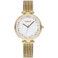 Radiant The Circle 36 Mm Dameur