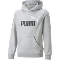 Puma Ess+ 2 Col Big Logo Fl B Hættetrøje