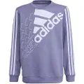 Adidas Logo Sweatshirt