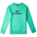 O'Neill N4750003 N4750003 Sweatshirt