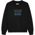 Calvin Klein Gradient Flock Logo Cn Hættetrøje