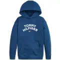 Tommy Hilfiger Flag Hættetrøje