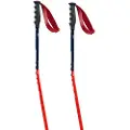 Swix World Cup Pro Donwhill Spadserestokke
