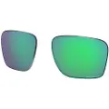 Oakley Sylas Prizm Udskiftningslinser