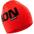 Salomon Hermitage Beanie