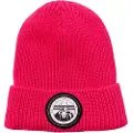 Spyder Link Beanie