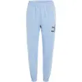 O'Neill Future Surf Society Jogging Pants blå