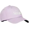 Superdry Graphic Baseball Kasket