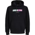 Jack & Jones Lafayette Branding Hættetrøje