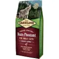 Brit Adult Hairball Control And & Kalkun - 6 kg