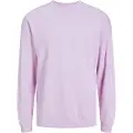 Jack & Jones Stagger Sweatshirt