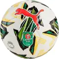 Puma Orbita 6 Carabao Cup Fodbold