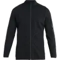 Icebreaker Merino 560 Realfleece Elemental Ii Sweatshirt Med Lynlås