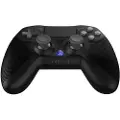 Raptor Gaming Wgc100 Ps4-controller