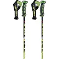 Gabel Gs Carbon Pæle