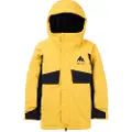 Burton Ascutney 2l Jakke