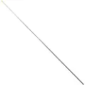 RAGOT Hollow Carbon Stangspids 0.9 M