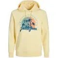Jack & Jones 12249267 Hættetrøje