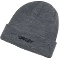 Oakley B1b Logo Beanie