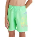 O'Neill Circle Surfer 14´´ Badeshorts