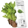 Click & Grow Click and Grow Smart Garden Refill 3-pack - Green Sorrel