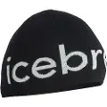Icebreaker Merino Beanie