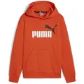 Puma Ess+ 2 Col Big Logo Hættetrøje