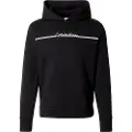 Calvin Klein Split Line Logo Hættetrøje
