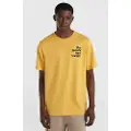 O'Neill Future Surf Society T-shirt Med Korte ærmer