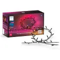 Philips Hue Festavia string lights 250LEDs
