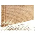 Vevor Naturligt rørhegn, 3,3 ft x 9,8 ft, rørnetsgardin til balkon, rørnetsgardin i rulle til udendørs baghave, dekorativt hegn til havehegn, skillevæg, privatlivsgardin