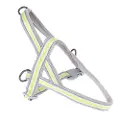 TIAKI No-pull sele - M: ca. 65-75 cm brystomkreds