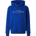 Tommy Hilfiger Mw0mw37455 Hættetrøje