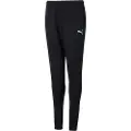 Puma Teamrise Bukser