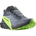 Salomon Sense Ride 5 Goretex Trailsko
