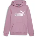 Puma Ess Logo Hættetrøje