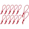 Think Tank Red Whips V2.0 Red 12-pack