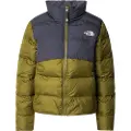 The North Face Saikuru Jakke grøn