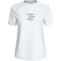 Calvin Klein Jeans Font Graphic T-shirt Med Korte ærmer