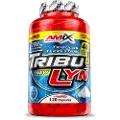 Amix Nutrition Tribulyn 40% Anabolic Kapsler Naturlig 120 Enheder