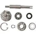Tecnium Mf5-8663 Honda Sh125 Reparationssæt Til Vandpumpe