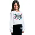 Everlast Lfs Fw Rainbow Sweatshirt