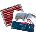 Derwent Metallisk Pastelfarveblyant 24 Enheder