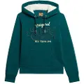 Superdry Luxe Metallic Logo Hættetrøje