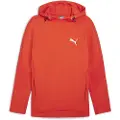 Puma Evostripe Hættetrøje