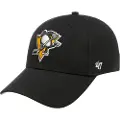 47 Pittsburgh Penguins Kasket