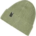 Protest Radius Beanie