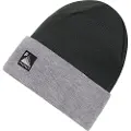 Protest Coulton Beanie