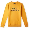 O'Neill N4750003 N4750003 Sweatshirt