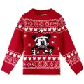 Cerda Group Christmas Mickey Trøje